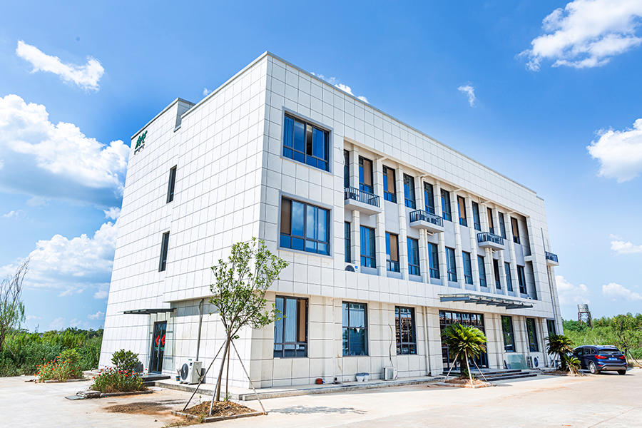 Skutečný obrázek společnosti